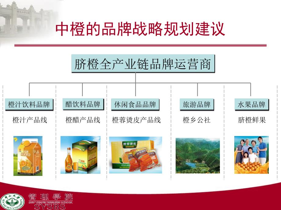 某品牌营销战略建议书.ppt_第4页