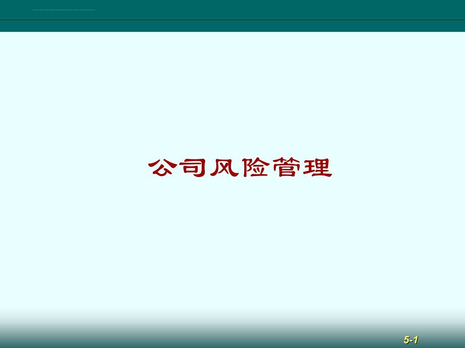 某公司风险管理培训教材.ppt_第1页