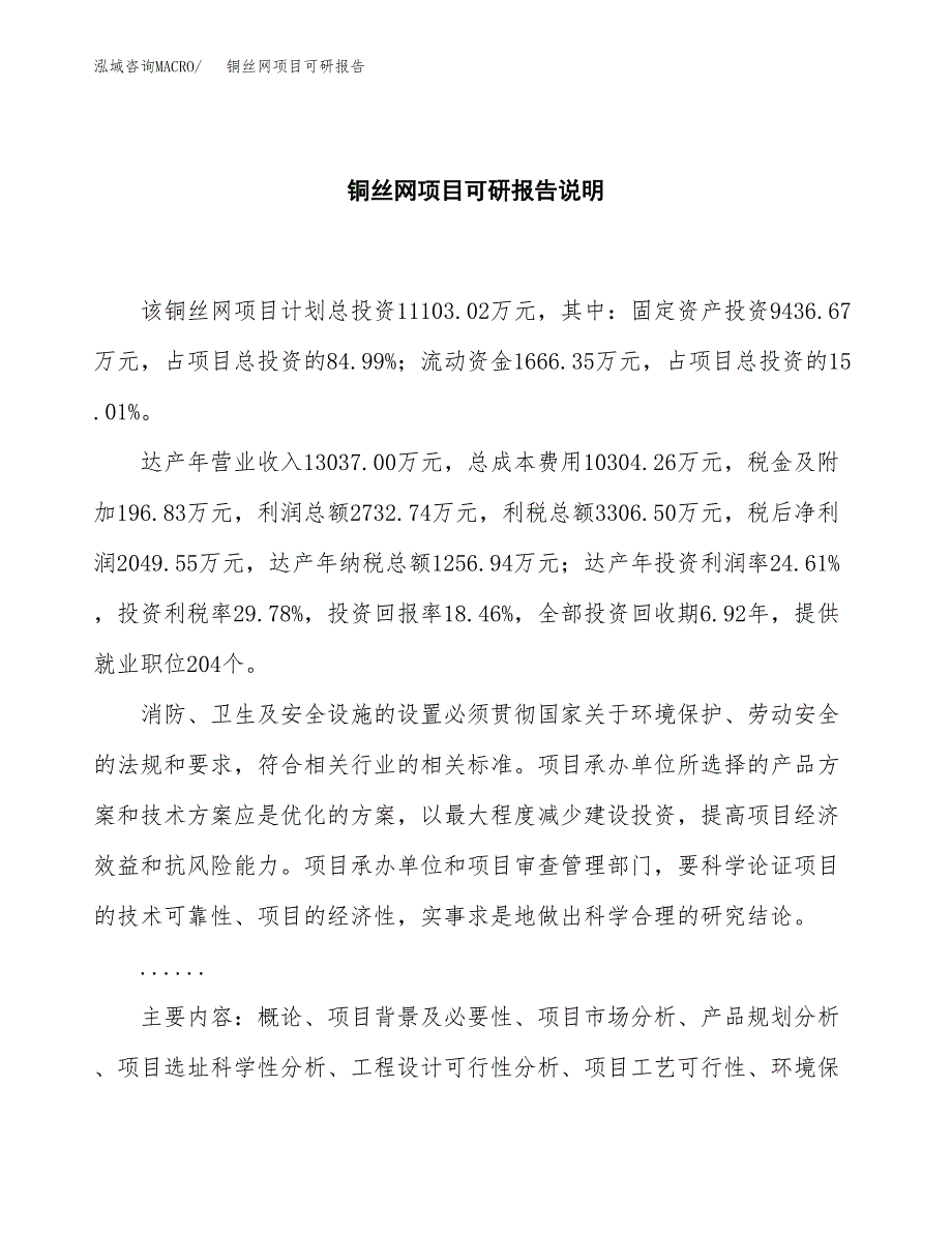 (2019)铜丝网项目可研报告模板.docx_第2页