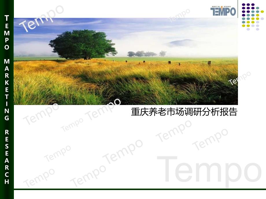 重庆养老市场调研分析报告.ppt_第1页