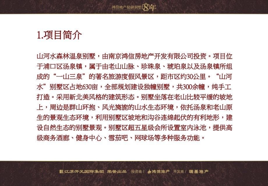 某公司广告推广工作总结.ppt_第5页