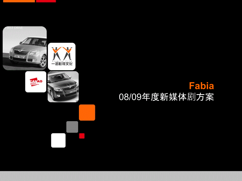 fabia汽车某年度新媒体剧方案_第1页