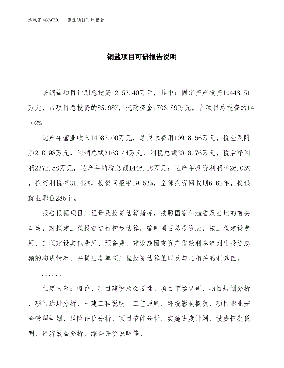 (2019)铜盐项目可研报告模板.docx_第2页