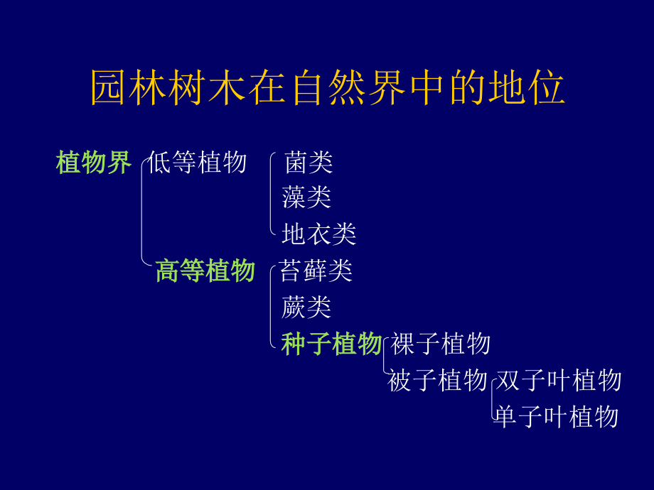 北林园林树木学各论_第4页