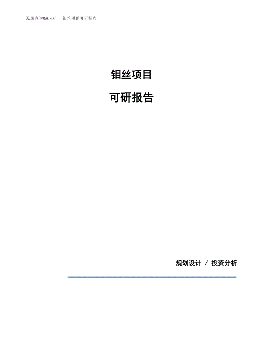 (2019)钼丝项目可研报告模板.docx_第1页