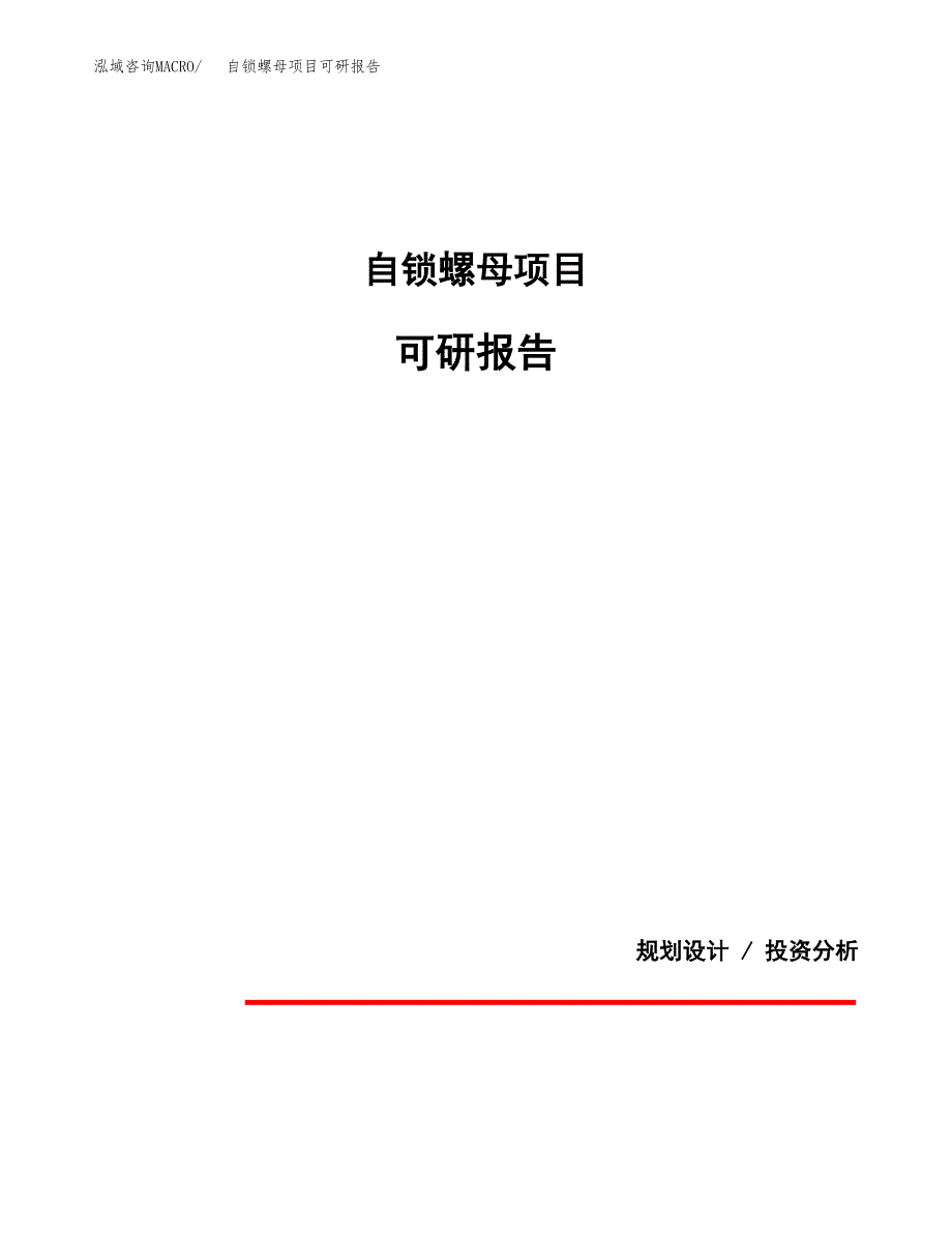(2019)自锁螺母项目可研报告模板.docx_第1页