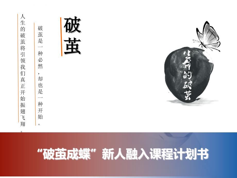 某公司新人融入课程计划书.ppt_第1页