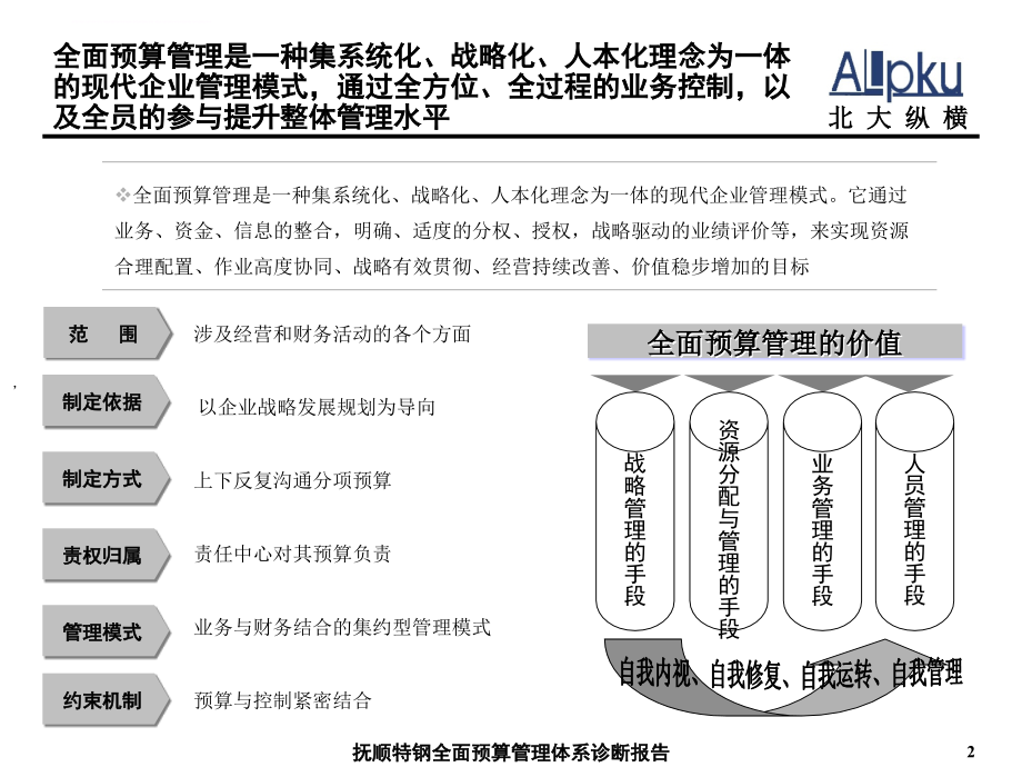 某公司全面预算管理体系诊断报告.ppt_第3页