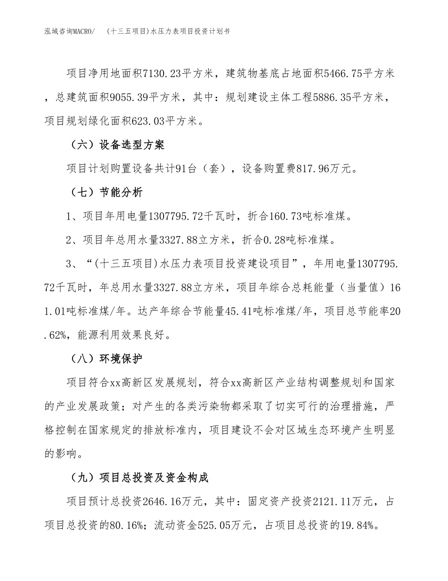 (十三五项目)水压力表项目投资计划书.docx_第2页