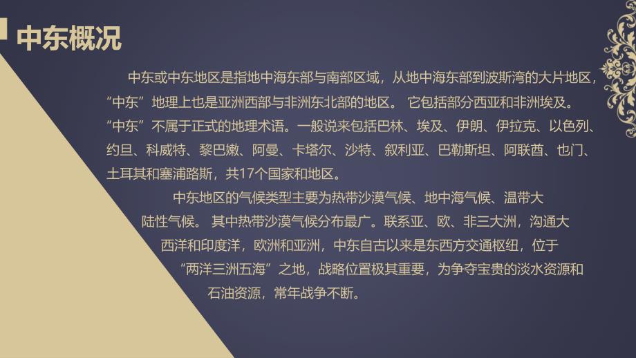 中东市场调查与分析_第4页