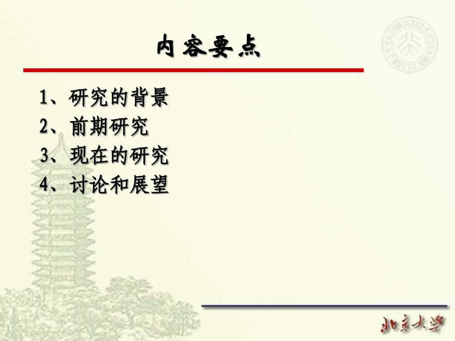 实践性知识与教师专业发展讲义.ppt_第2页