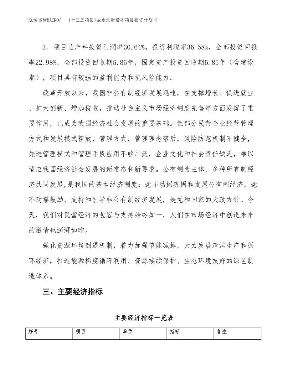 (十三五项目)盐水注射设备项目投资计划书.docx_第4页