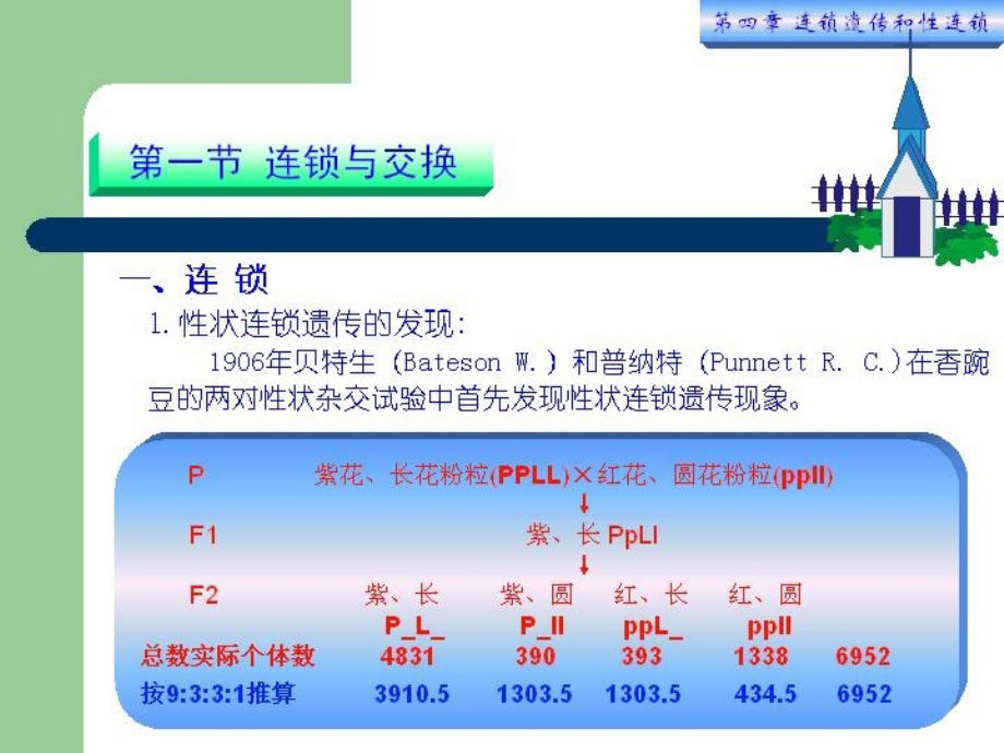 连锁遗传与性连锁培训讲义.ppt_第3页