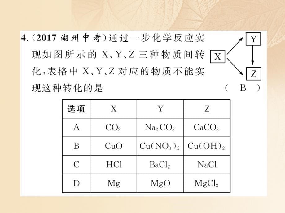 （云南专版）2018届中考化学复习 第二编 专题6 推断题（精练）课件_第5页