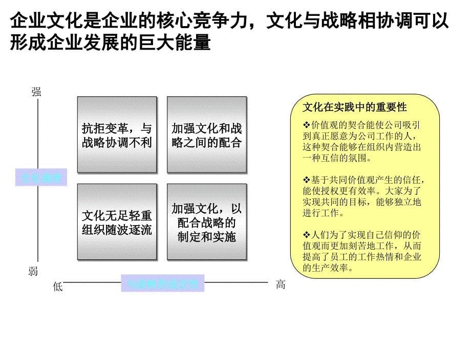 某有限责任公司发展战略梳理报告.ppt_第5页