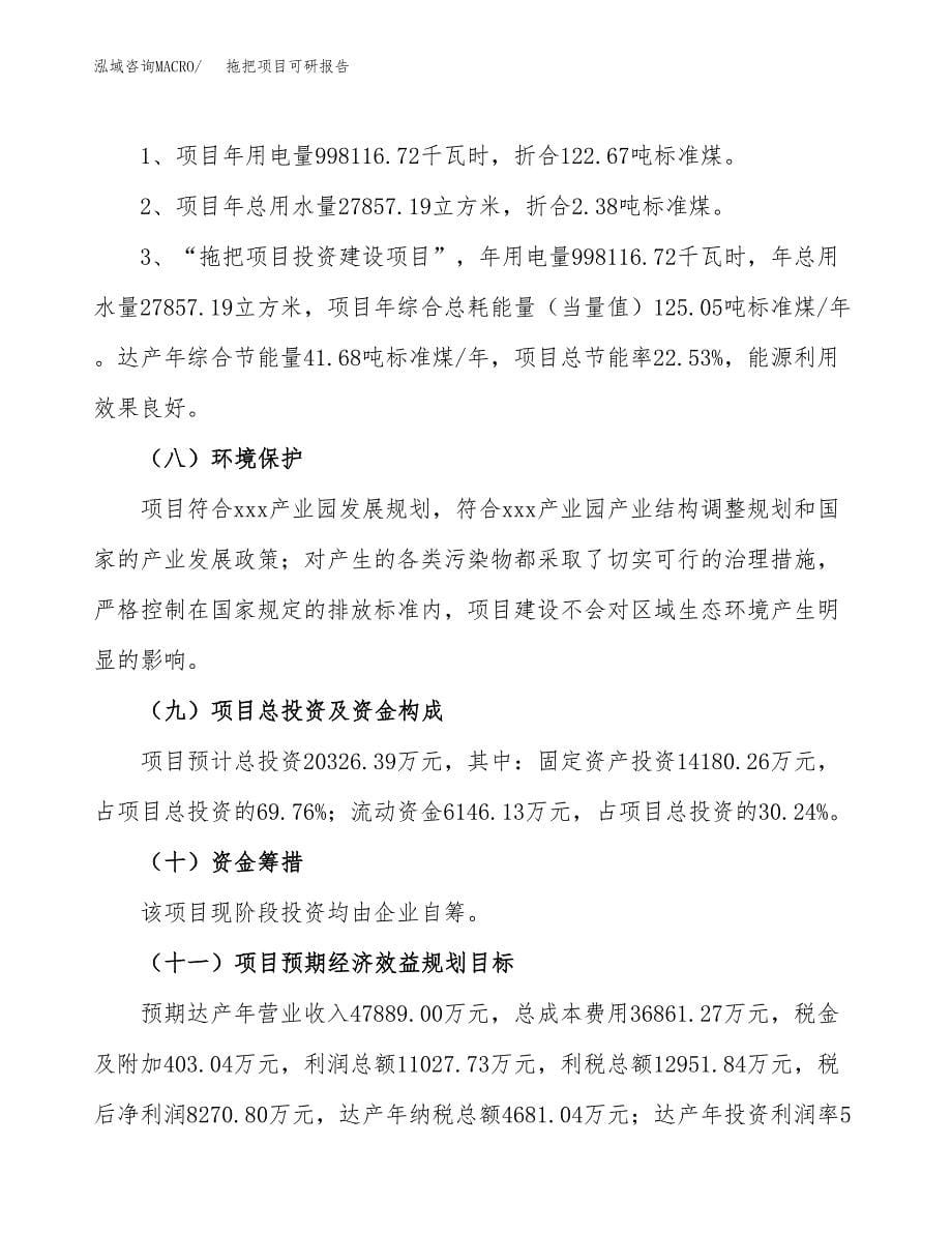 (2019)拖把项目可研报告模板.docx_第5页