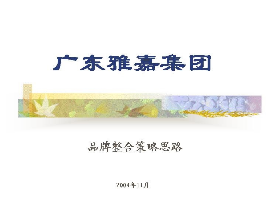 雅嘉集团品牌整合策略的意义.ppt_第1页