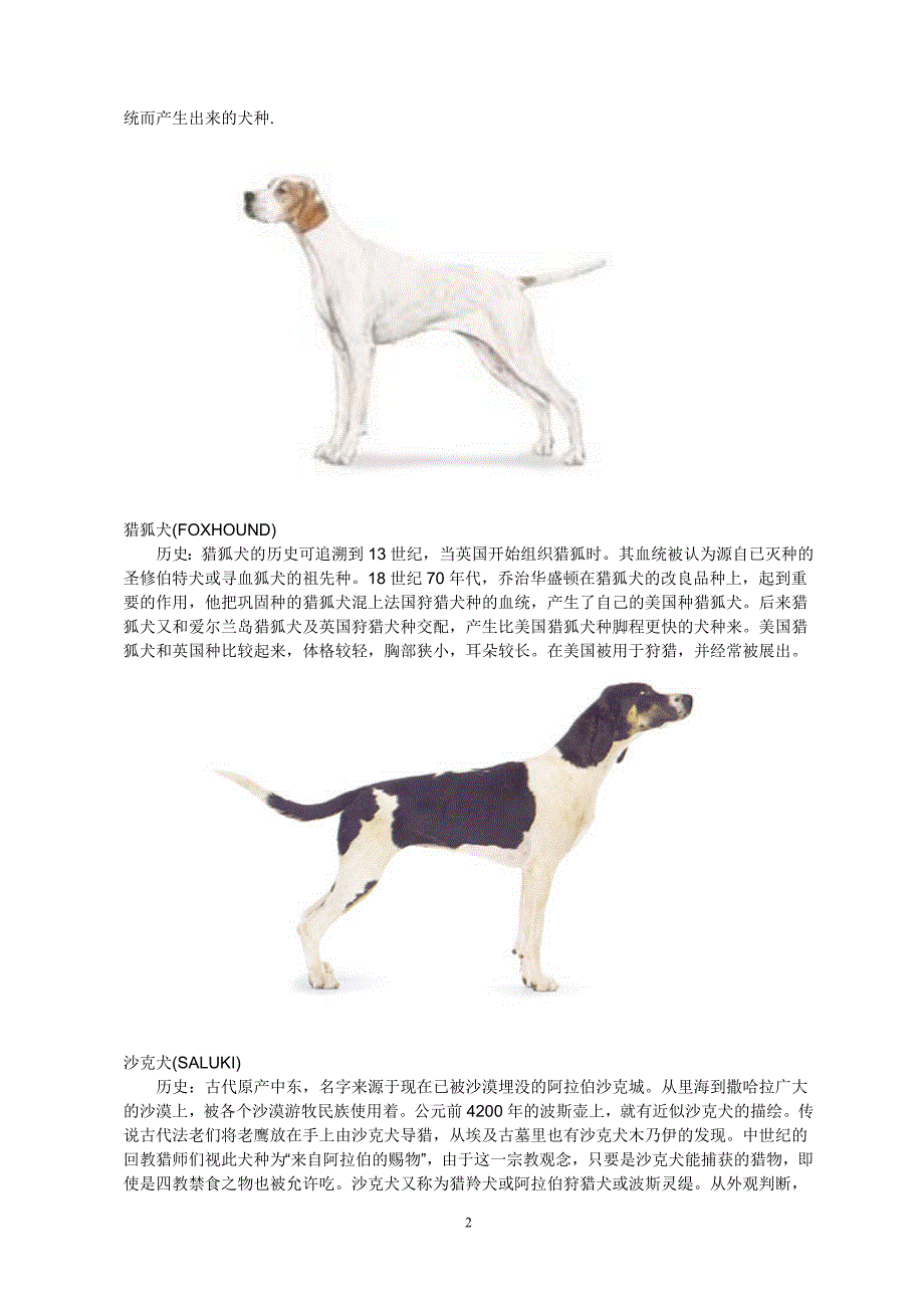 狗狗品种大全_第2页