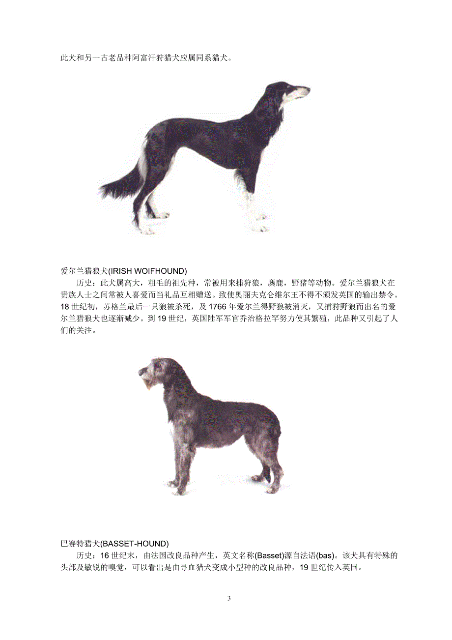 狗狗品种大全_第3页