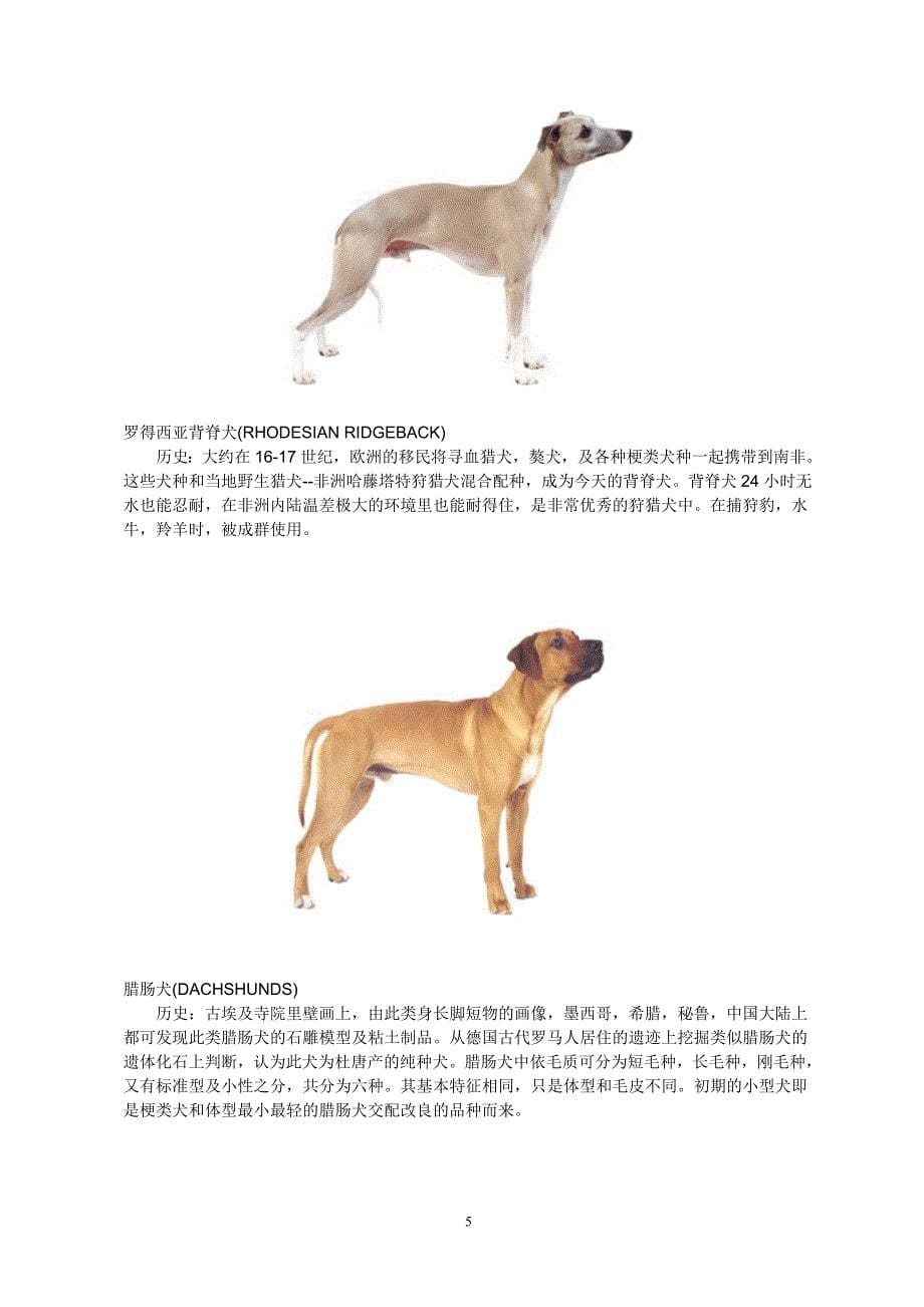 狗狗品种大全_第5页