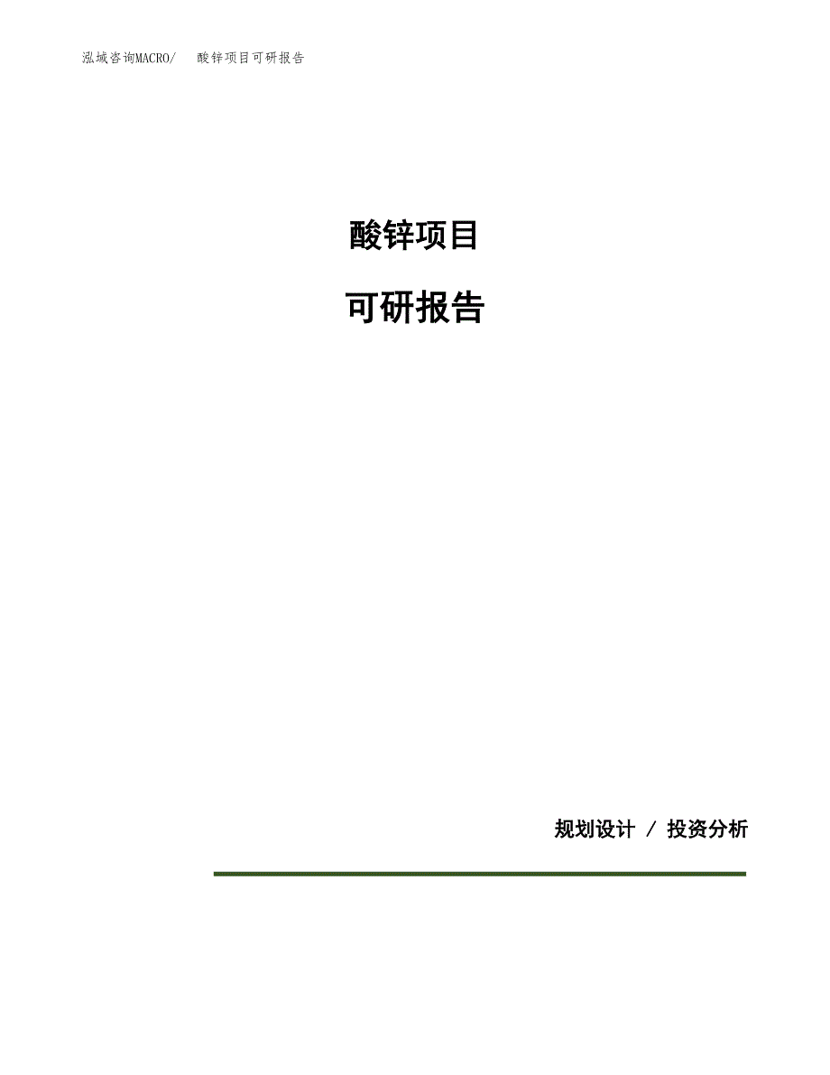 (2019)酸锌项目可研报告模板.docx_第1页