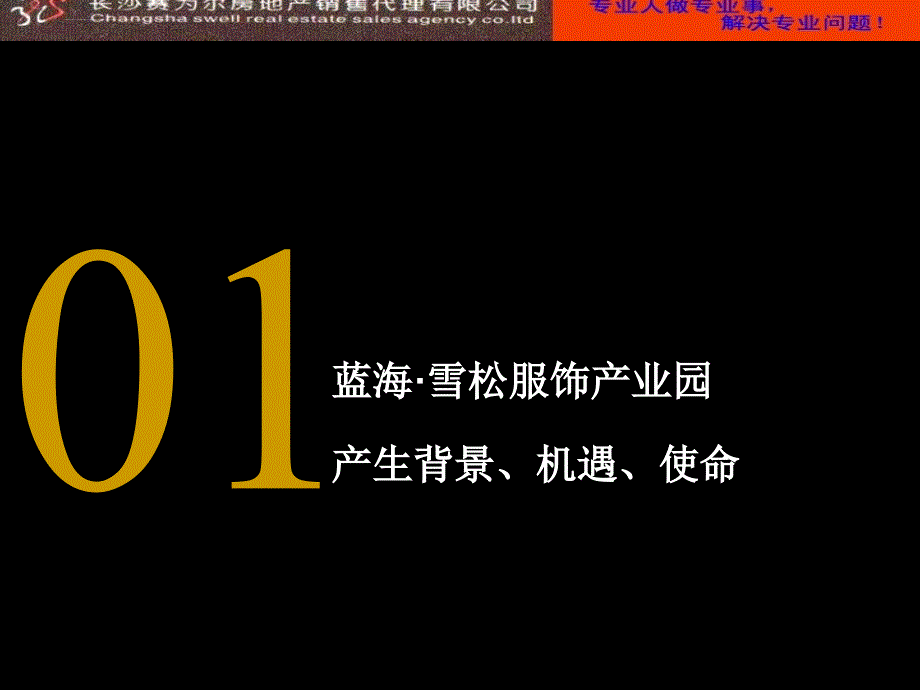 某服饰产业园推广运营策划案.ppt_第3页