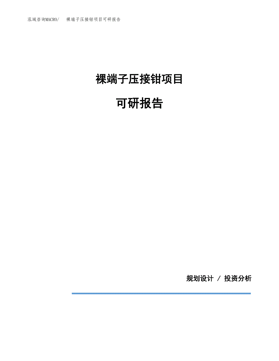 (2019)裸端子压接钳项目可研报告模板.docx_第1页