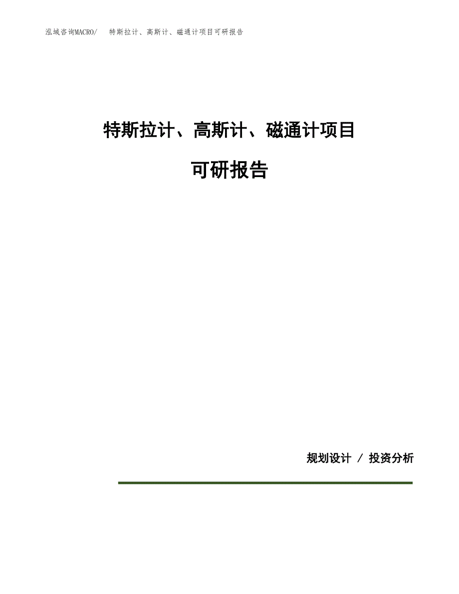 (2019)特斯拉计、高斯计、磁通计项目可研报告模板.docx_第1页