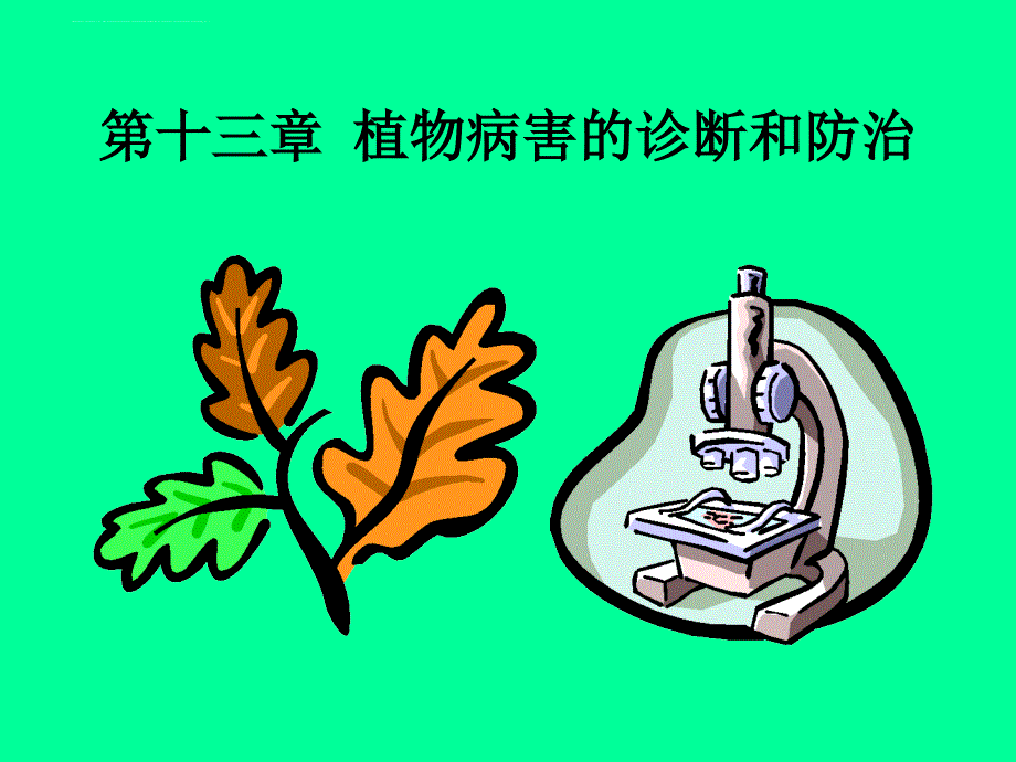 植物病害的诊断和防治.ppt_第1页