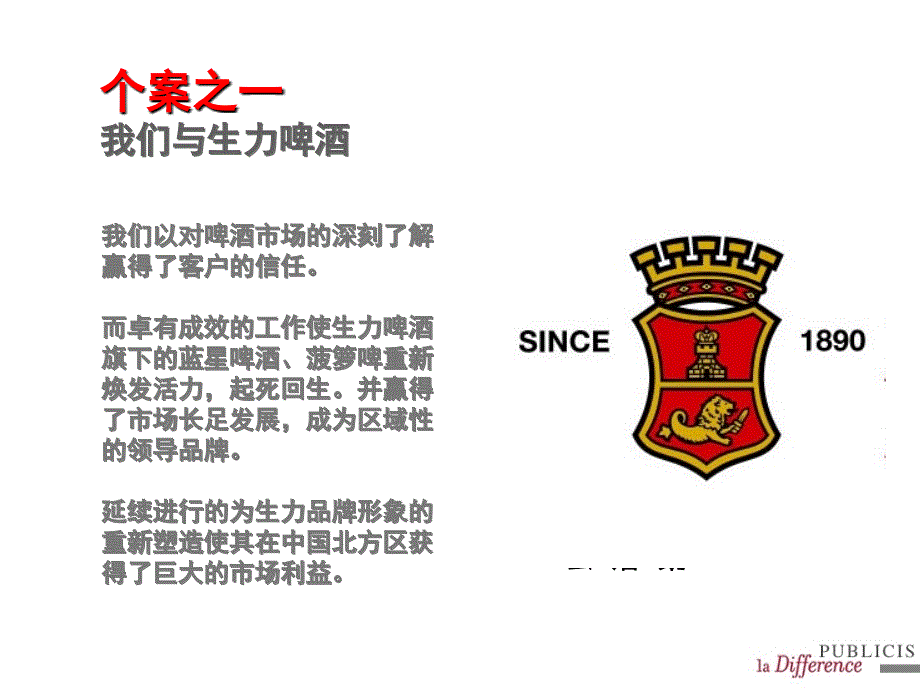 某啤酒品牌审核工具.ppt_第2页