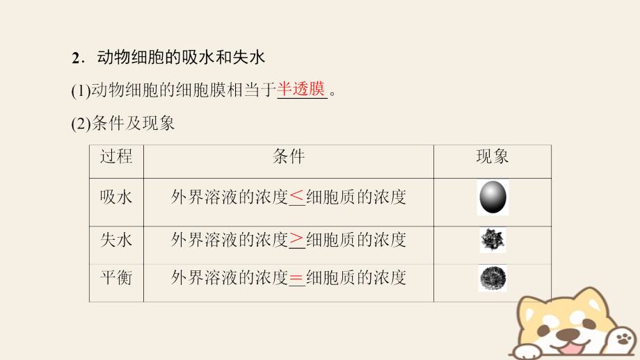 2018-2019学年高中生物 第四章 细胞的物质输入和输出 第1节 物质跨膜运输的实例课件 新人教版必修1_第4页