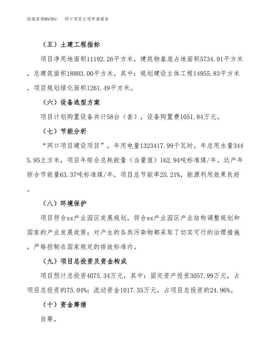 网口项目立项申请报告（总投资4000万元）.docx_第5页