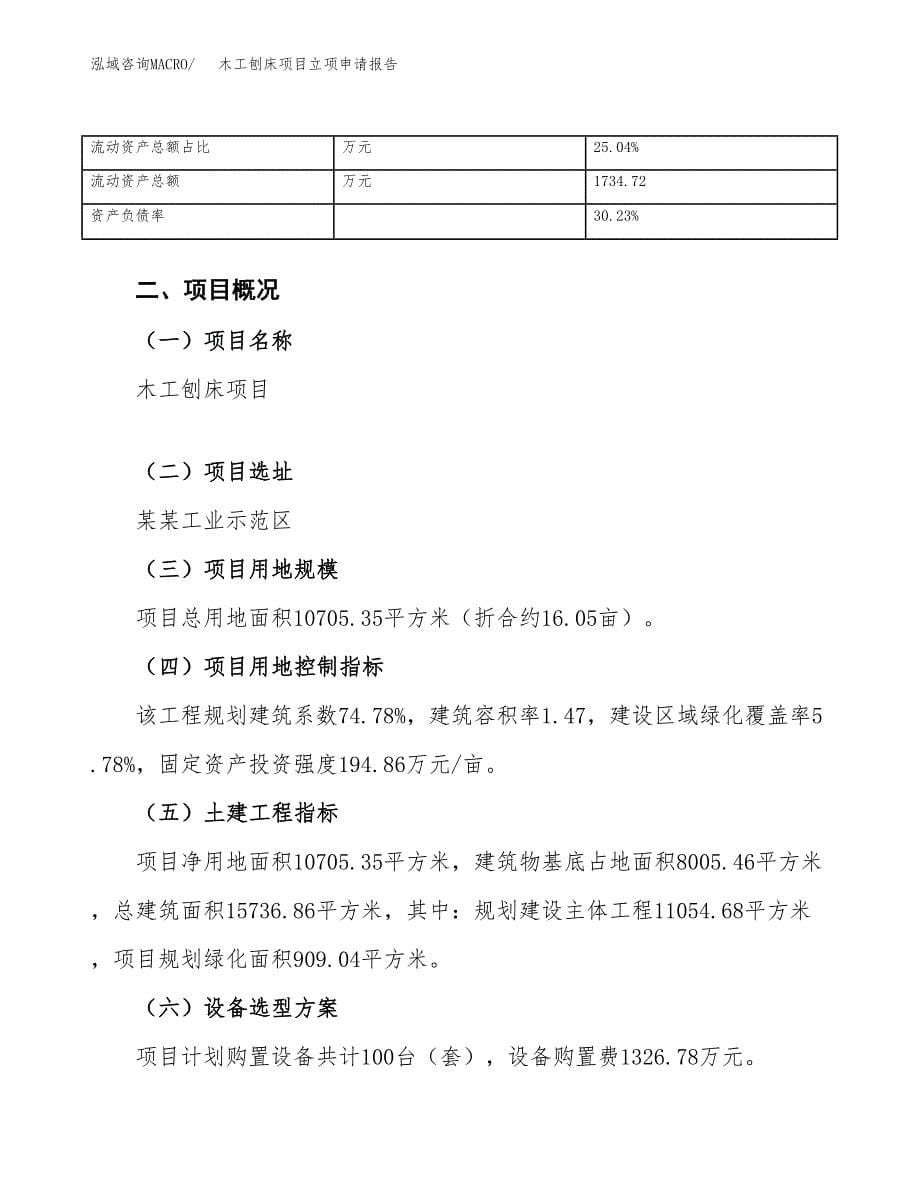 木工刨床项目立项申请报告（总投资4000万元）.docx_第5页