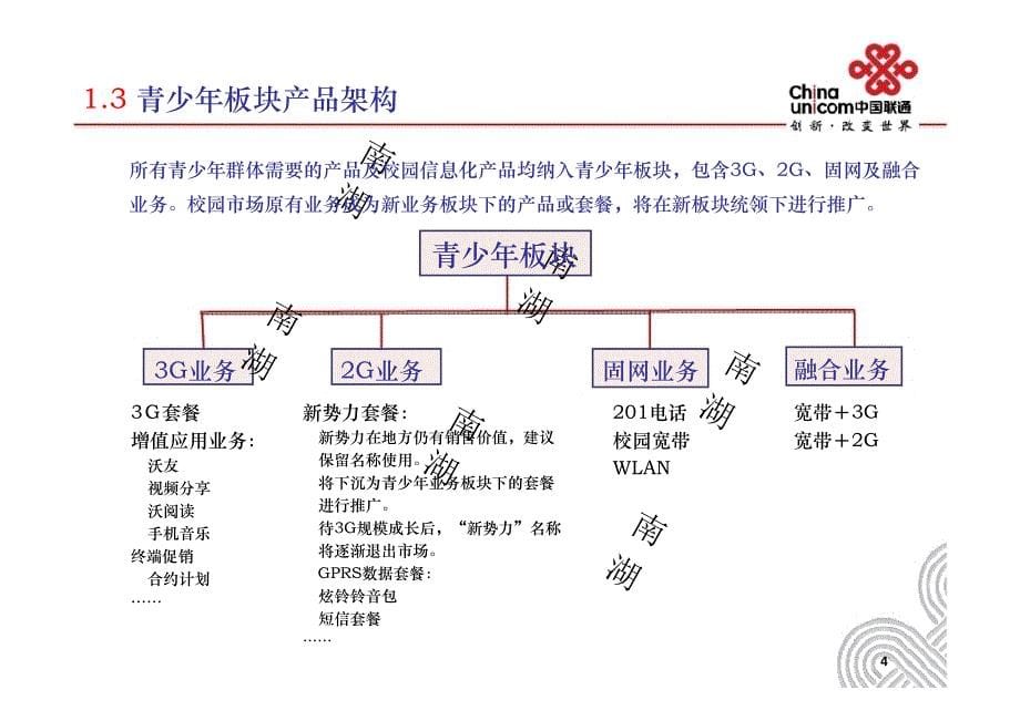 青少年业务版块上市传播_第5页