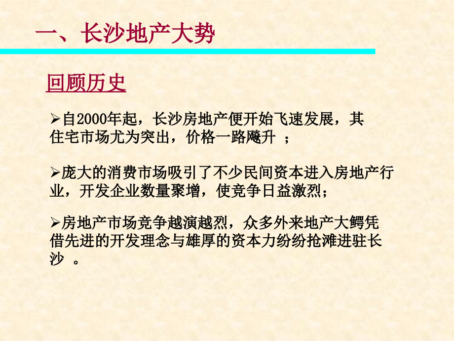 房地产项目营销实操策划案_第4页