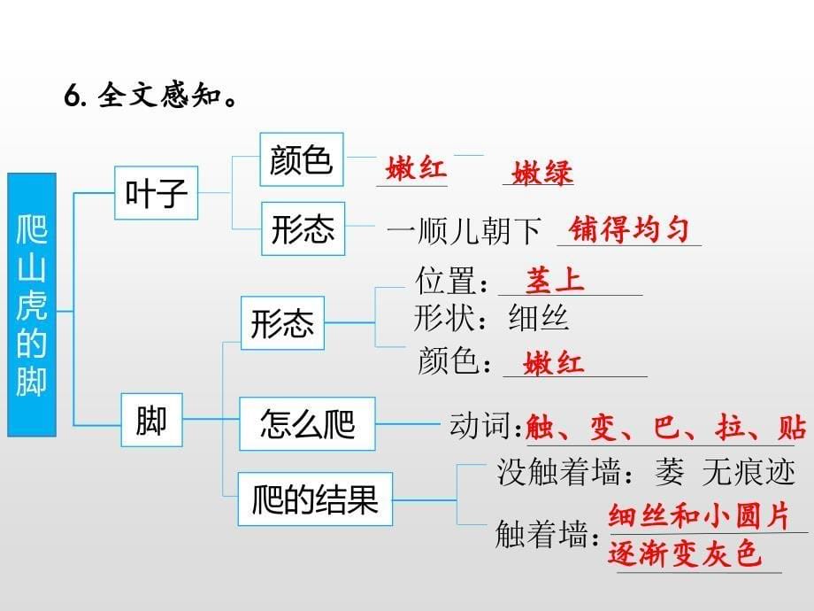 四年级上册语文课件-10 爬山虎的脚（预习）人教（部编版） (共8张PPT)_第5页