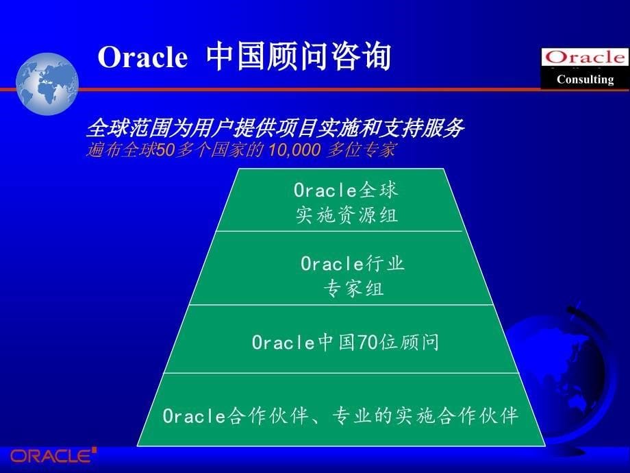 oracle顾问实施方法_第5页