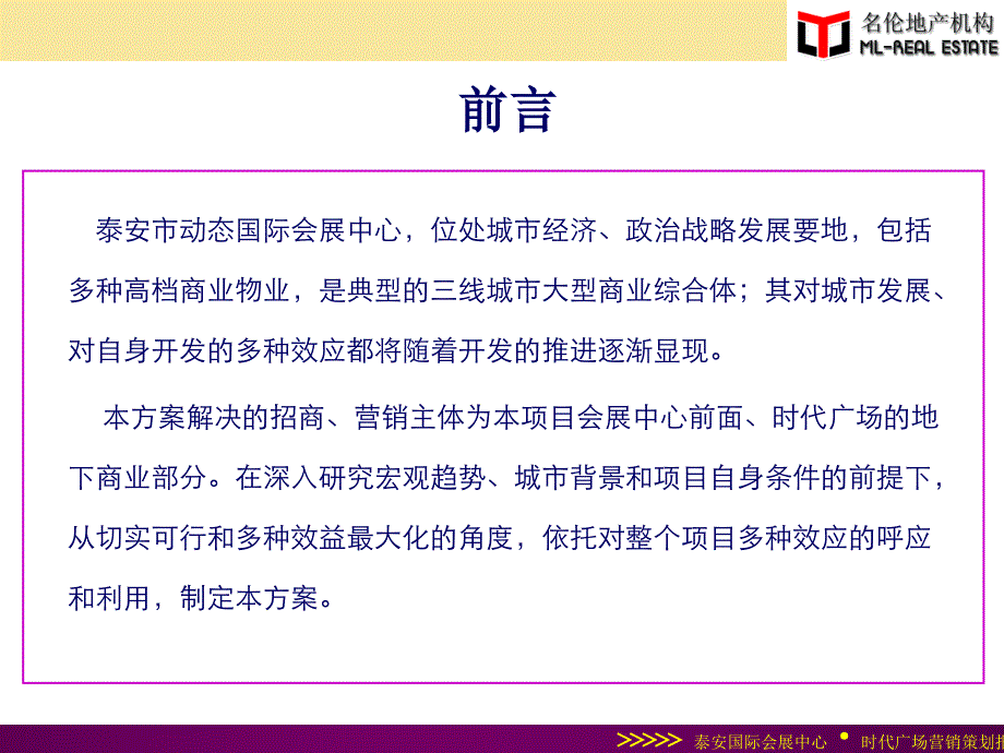 时代广场营销招商推广方案_第3页