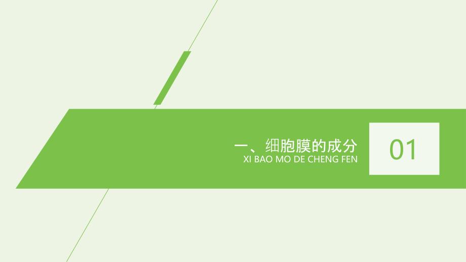 2019-2020学年高中生物 第3章 细胞的基本结构 第1节 细胞膜&mdash;&mdash;系统的边界课件 新人教版必修1_第4页