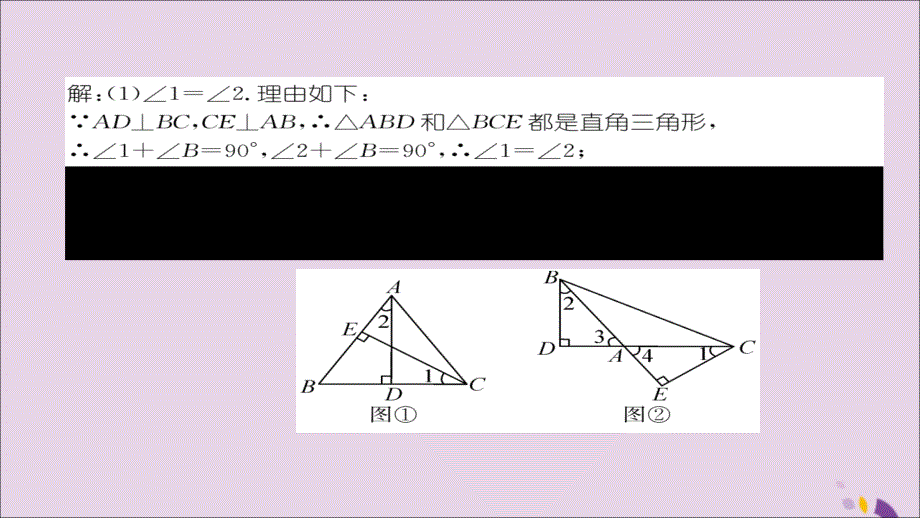 2018年秋八年级数学上册 第十一章 三角形 11.2 与三角形有关的角 11.2.1 第2课时 直角三角形的两个锐角互余练习课件 （新版）新人教版_第4页