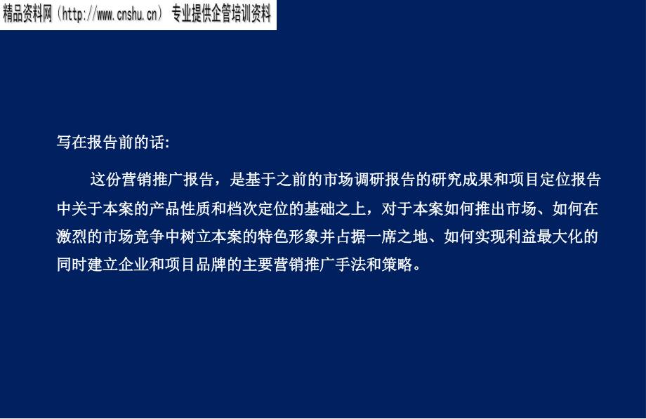 某地产销售推广策略方案_第2页