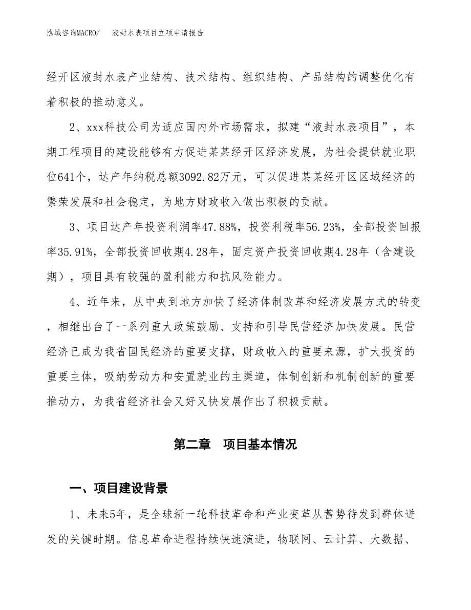 液封水表项目立项申请报告模板范文.docx_第5页