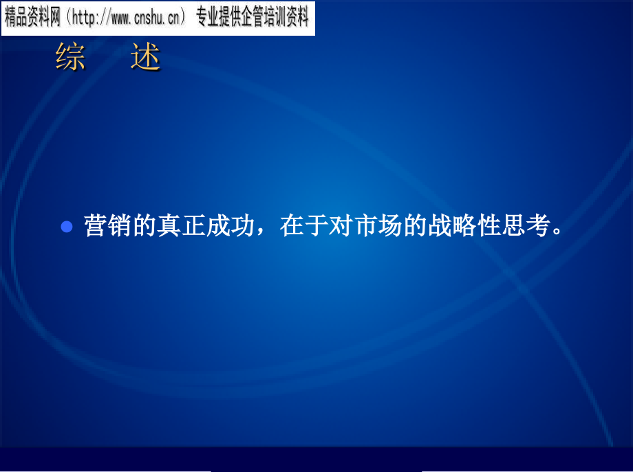 战略营销策划方案分析报告_第2页