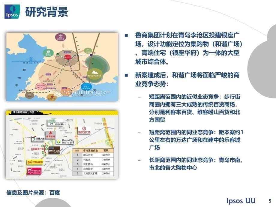 消费者定性研究项目报告_第5页