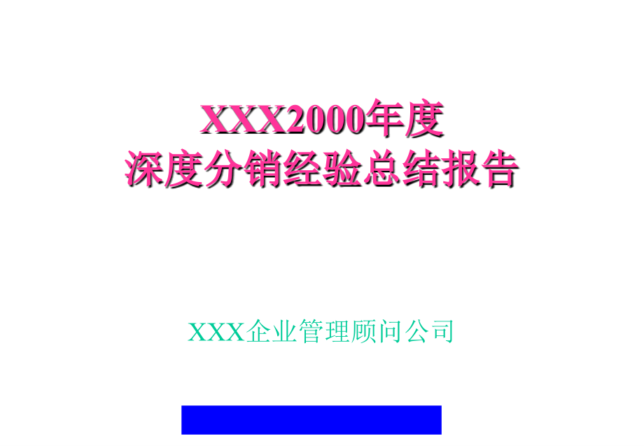 年度深度分销经验总结报告_第2页