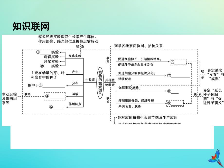 2020届高三生物二轮复习 第11讲 植物的激素调节课件_第2页