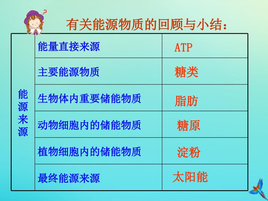 2019-2020学年高中生物 第5章 第2节 细胞的能量&ldquo;通货&rdquo;&mdash;&mdash;atp1课件 新人教版必修1_第2页