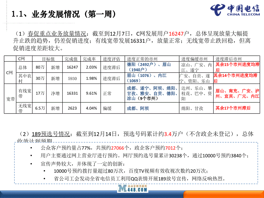 电信公司“添翼迎春”促销活动规划书_第3页