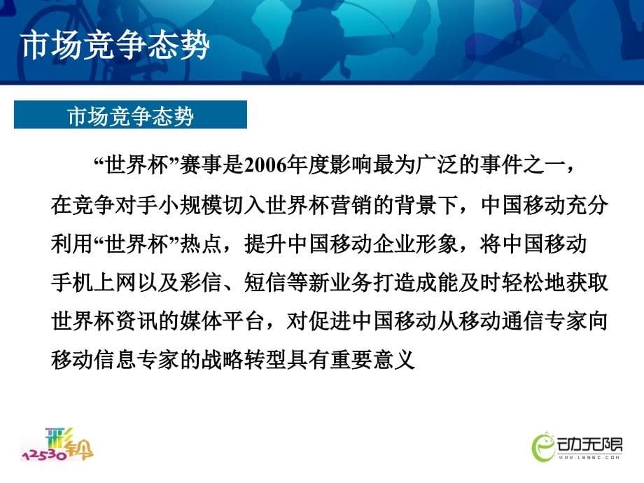 某通信公司世界杯主题营销案例分析_第5页