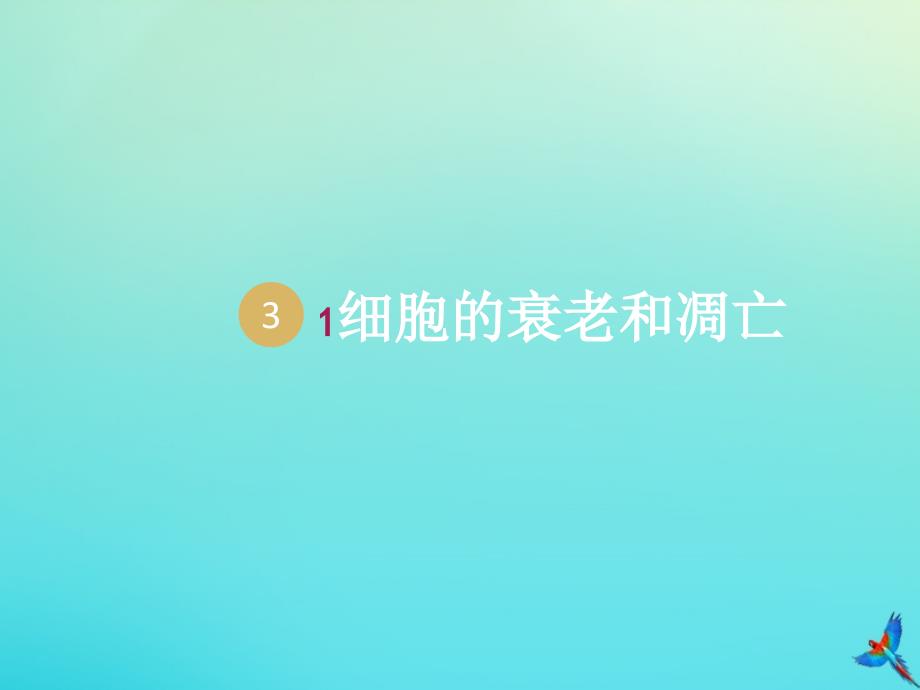 2019-2020学年高中生物 第6章 第3节 细胞的衰老和凋亡1课件 新人教版必修1_第2页